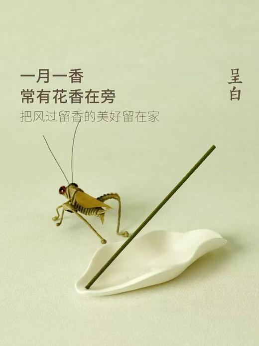 呈白十二花神三味线香薰礼盒中式熏香 商品图8