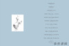 Schiaparelli: Fashion Becomes Art  / 夏帕瑞丽：时尚成为艺术 商品缩略图1