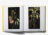 Baselitz: A Life In Print / 巴塞利兹：版画人生 商品缩略图2