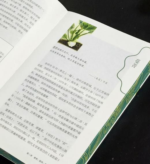 【新书推荐】《苏东坡颠沛流离植物记》，32开，平装，刷边，潘富俊著，九州出版社2026年一版一印，480面，定价88，售价：61 商品图9