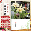 仙草之首 铁皮石斛 何清湖 李振皓 主编 中华文化中的石斛 历代对石斛的认识 石斛的栽培、炮制等 9787515230054 中医古籍出版社 商品缩略图0