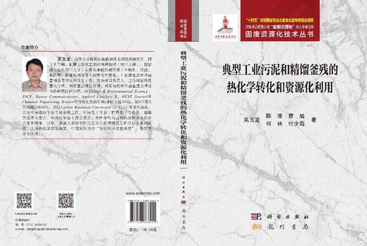 典型工业污泥和精馏釜残的热化学转化和资源化利用 吴玉龙等 9787508868455 商品图3