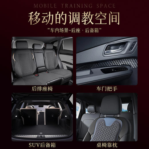 姬欲车内调教sm道具套装 房事辅助工具 商品图1