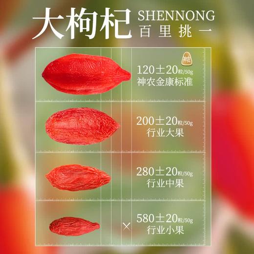 神农金康 锁鲜枸杞280g/罐青海保鲜红苟杞子泡水养生茶 商品图8