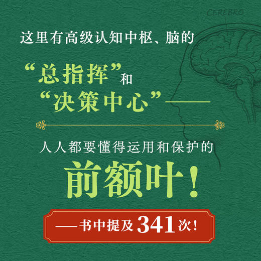 预售 预计5月中下旬发货 认知心理学（第4版）认知心理学入门书籍傅小兰审校津巴多普通心理学认知记忆脑科学AI时代立身不可或缺的心理学基础学科 商品图2