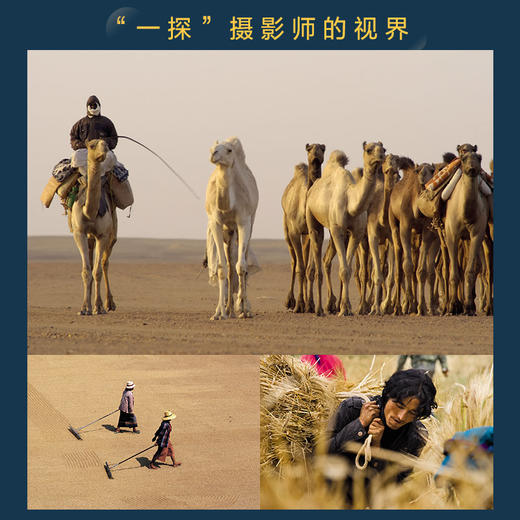 摄影师的视界 迈克尔弗里曼摄影构图与设计 *修订版 摄影构图艺术摄影书籍入门摄影构图技法教程 商品图3