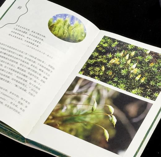 【新书推荐】《苏东坡颠沛流离植物记》，32开，平装，刷边，潘富俊著，九州出版社2026年一版一印，480面，定价88，售价：61 商品图13