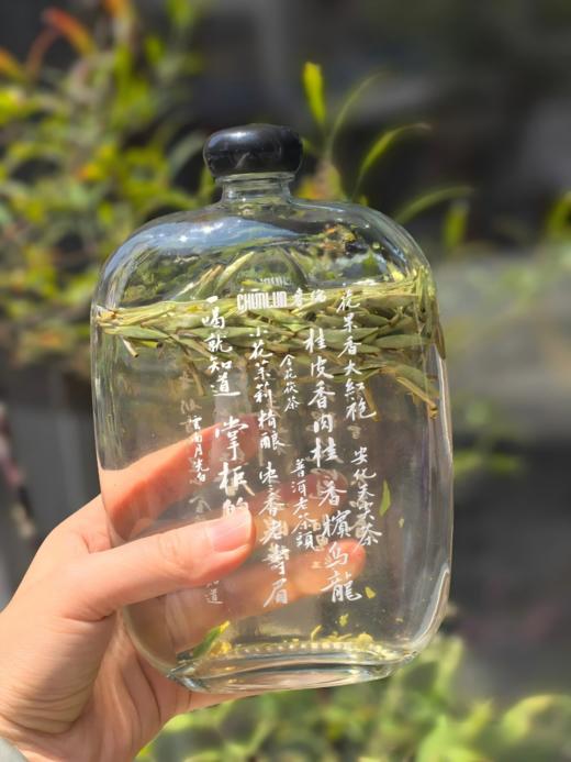 5月15日上午9点【青龙山首日芽】【吴洋山花香银针】2026年福鼎银针核心稀缺高货资源，绝对的超高品质超低价格，性价比超级高，免费试喝，500克/盒 商品图6