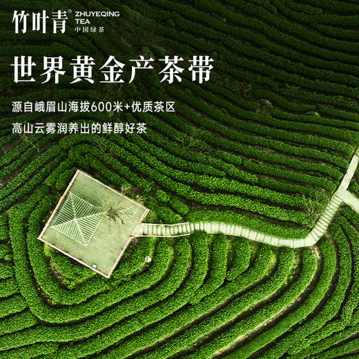 竹叶青绿茶茶叶2026年新茶峨眉高山绿茶一级茶叶100g自己喝冷泡茶 商品图3