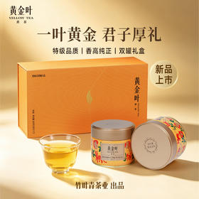 竹叶青茶业出品黄金叶黄茶茶叶特级双罐装160g茶叶礼盒川茶伴手礼