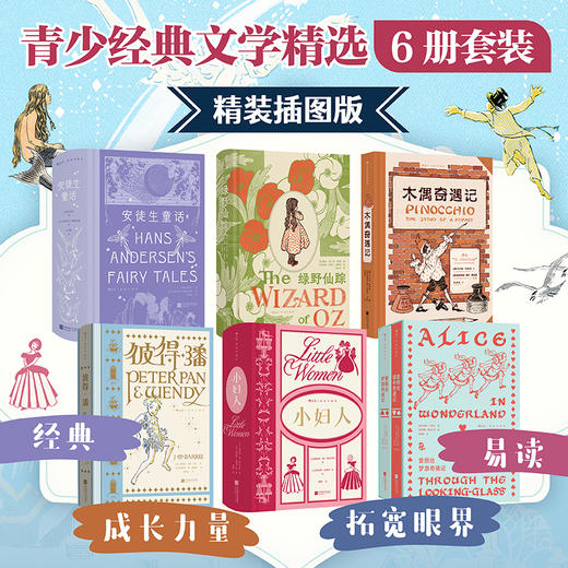 【青少经典文学6册】安徒生童话+绿野仙踪+木偶奇遇记+彼得·潘等 商品图0