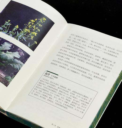 【新书推荐】《苏东坡颠沛流离植物记》，32开，平装，刷边，潘富俊著，九州出版社2026年一版一印，480面，定价88，售价：61 商品图10