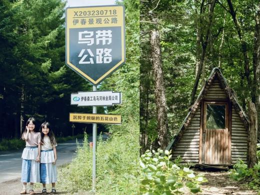 【暑期亲子】小兴安岭 · 6天5晚伊春避暑亲子营，带孩子走进课本里的小兴安岭！22℃林都避暑，打卡东北“小奈良”，住进野奢美宿！ 商品图6