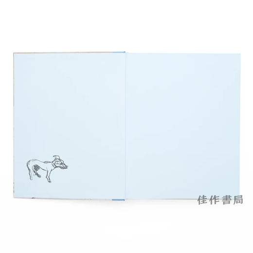 Lucian Freud: Drawing into Painting / 卢西安·弗洛伊德：从素描到绘画 商品图1