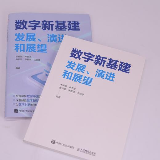 数字新基建 发展 演进和展望 数字基础设施 商品图1