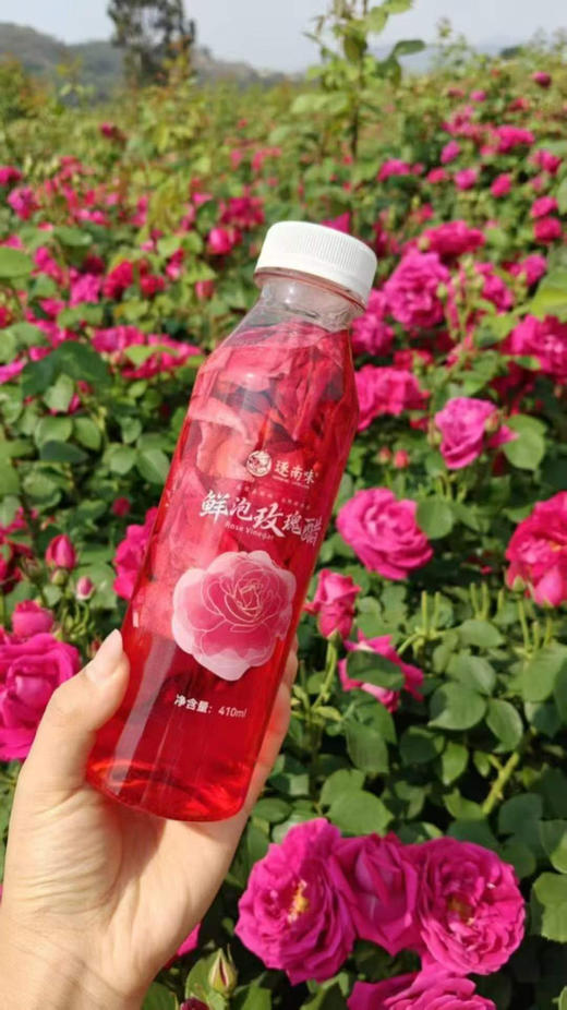 逐南味 玫瑰醋一箱10瓶 商品图5