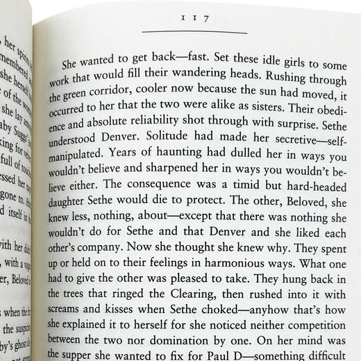 宠儿 英文原版小说 Beloved Toni Morrison 托妮莫里森代表作 诺贝尔文学奖 普利策奖 英文版 进口原版英语书籍 商品图4