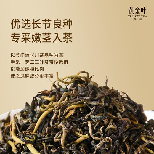 竹叶青茶业出品黄金叶黄茶茶叶一级罐装150g茶叶自己喝口粮茶 商品图2