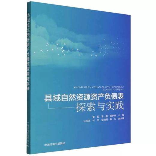县域自然资源资产负债表探索与实践 商品图1