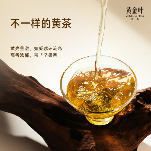 竹叶青茶业出品黄金叶黄茶茶叶一级双罐装160g茶叶礼盒川茶伴手礼 商品图3