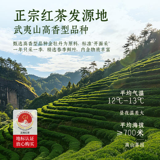【送品鉴+礼袋】华祥苑-100g星时光颂茗妃子笑红茶散泡铁罐装 2盒装 商品图3