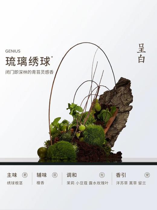 呈白十二花神浮光芍药非遗瓷花香薰礼盒扩香石香氛;呈白花奖非遗白瓷花香薰礼盒无火扩香石家居摆件 商品图7