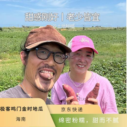 极客鸣门金时地瓜丨生态种植，甜度适中，控糖可吃；肉质绵密细腻，两头略带红薯丝，口感自然。高温环境偶尔轻微发芽，不影响食用，介意慎拍！⭐️京东快递 商品图0