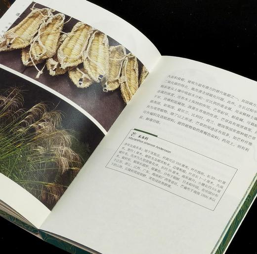 【新书推荐】《苏东坡颠沛流离植物记》，32开，平装，刷边，潘富俊著，九州出版社2026年一版一印，480面，定价88，售价：61 商品图11