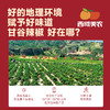 【顺丰。】西域美农 甘谷辣椒面500g 甘谷辣椒条100g 商品缩略图8
