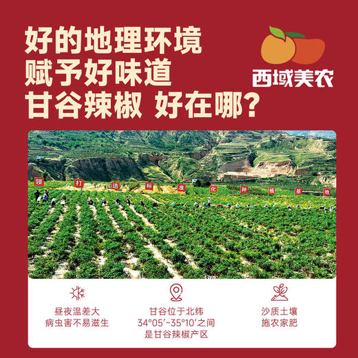 【顺丰。】西域美农 甘谷辣椒面500g 甘谷辣椒条100g 商品图8
