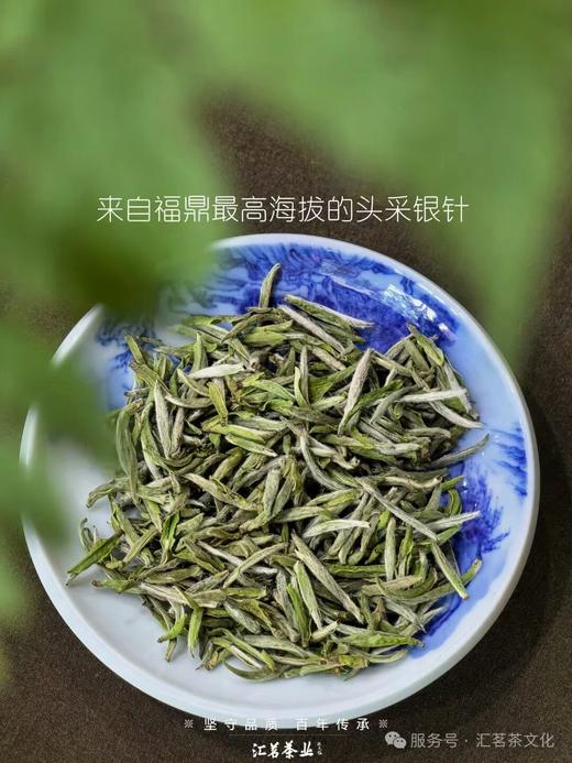 5月15日上午9点【青龙山首日芽】【吴洋山花香银针】2026年福鼎银针核心稀缺高货资源，绝对的超高品质超低价格，性价比超级高，免费试喝，500克/盒 商品图2