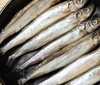 挪威进口·满籽多春鱼 | 深海捕捞 99%满腹黄金籽 刺少肉嫩高蛋白 适合香煎、烤制、油炸等多种烹饪方式 商品缩略图2