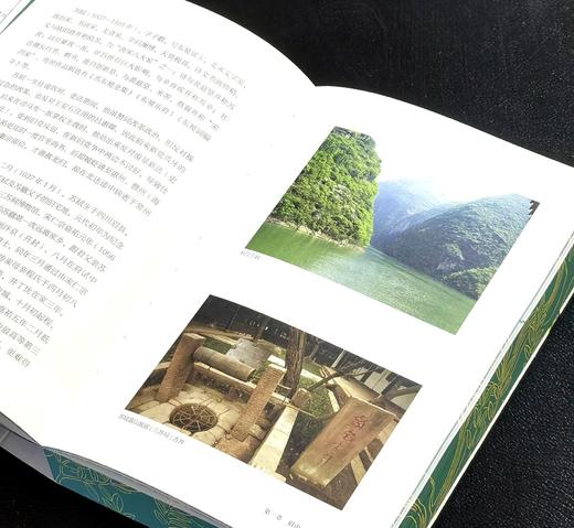 【新书推荐】《苏东坡颠沛流离植物记》，32开，平装，刷边，潘富俊著，九州出版社2026年一版一印，480面，定价88，售价：61 商品图6