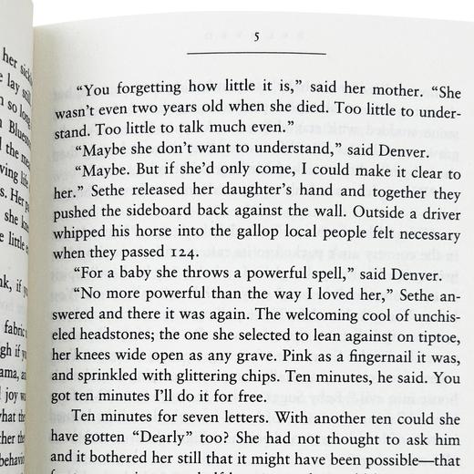 宠儿 英文原版小说 Beloved Toni Morrison 托妮莫里森代表作 诺贝尔文学奖 普利策奖 英文版 进口原版英语书籍 商品图2