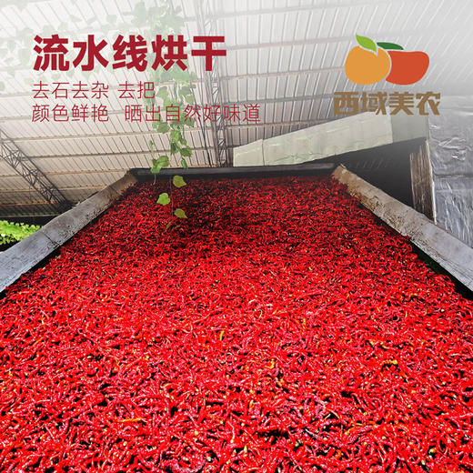【顺丰。】西域美农 甘谷辣椒面500g 甘谷辣椒条100g 商品图11