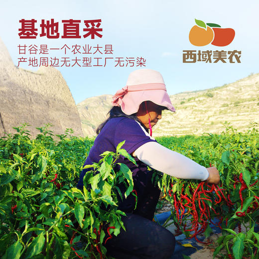 【顺丰。】西域美农 甘谷辣椒面500g 甘谷辣椒条100g 商品图10