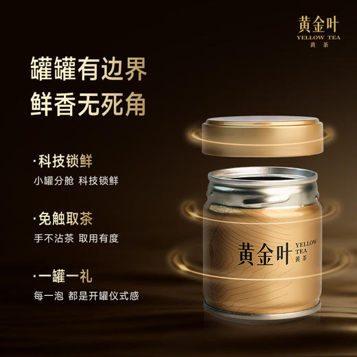竹叶青茶业出品黄金叶黄茶茶叶特级论道罐装250g茶叶礼盒高端送礼 商品图4