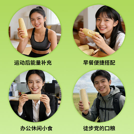 【极速锁鲜】喜鹊先生 白甜糯玉米 1.8kg（8根单根220g+） 轻食好选择自然本味 商品图6