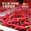 【顺丰。】西域美农 甘谷辣椒面500g 甘谷辣椒条100g 商品缩略图7