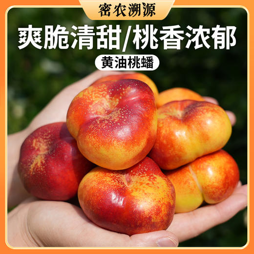 密云新鲜现摘大棚黄油蟠桃 1斤 脆甜多汁 桃味浓郁 商品图0