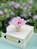 呈白十二花神浮光芍药非遗瓷花香薰礼盒扩香石香氛;呈白花奖非遗白瓷花香薰礼盒无火扩香石家居摆件 商品缩略图4