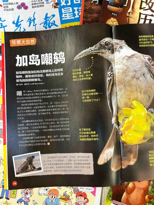 阅读兴趣启蒙包（10本2026年新刊现货组合） 商品图8