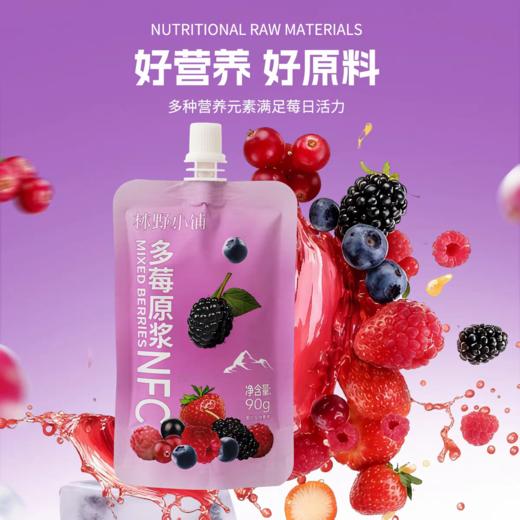 兴安岭7种果莓混合莓果NFC饮品90ml*10袋瓶果汁莓果原浆基地直邮 商品图0