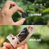 即食熟地黄/九制怀熟地黄（基地直发-京东包邮 ）｜250g/袋，来自河南焦作，生产者：王红亮【合作生产，公平贸易】 商品缩略图1