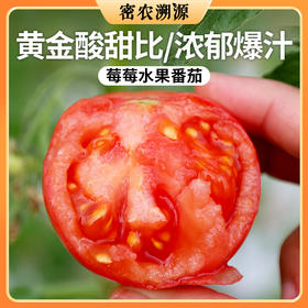 密云现摘农家莓莓番茄450g  原味一号  酸甜多汁  水果西红柿  适合生吃
