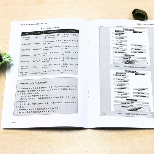 一人公司：用AI打通跨境电商选品、运营、变现 商品图4