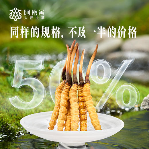 现在下单加送1根【2026年鲜草现货】阿依舍头茬新鲜冬虫夏草礼盒 商品图3