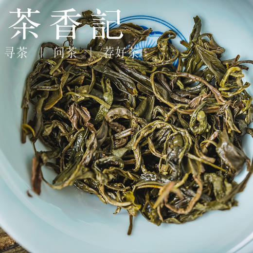 茶香记霍山黄小茶026皖南核心产茶区闷黄工艺鲜醇甘爽温和甜润 商品图3