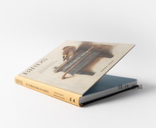 Birds: The Goldfinch  Birds  Art  and Us / 鸟：金翅雀、鸟、艺术与我们 商品图1