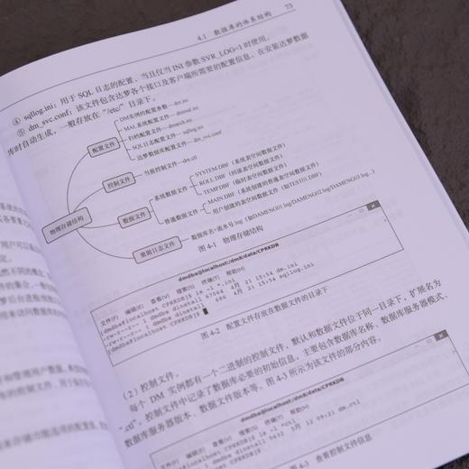 达梦数据库原理及应用教程 官方出品SQL Hadooop 数据中心可视化应用案例 商品图2